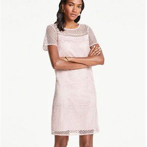 Ann Taylor Lace T shirt Shirt Dress 0
